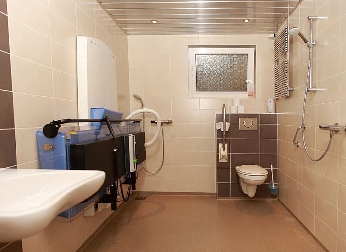 Unterkunft 0403221 - Ferienhaus Ameland - Piggelmee