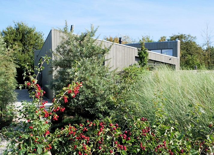 Unterkunft 0403227 - Ferienhaus Ameland - Duingolfvilla 65