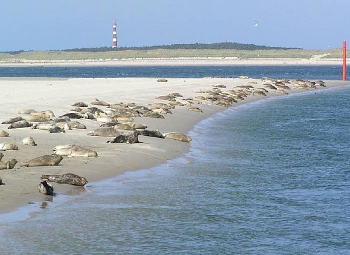 Eetkamer met moderne inrichting in Zilverschoon vakantieappartement, Hollum, Ameland, perfect voor gezellige maaltijden.