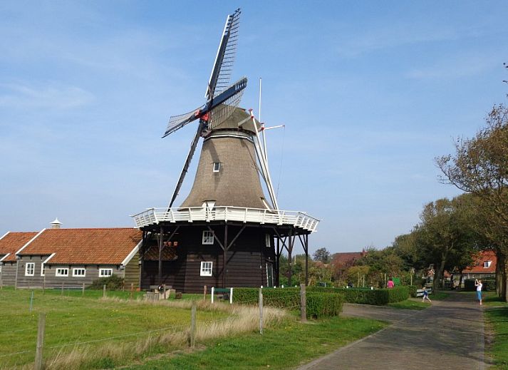Verblijf 0403232 - Vakantiewoning Ameland - huisje WELTEVREE