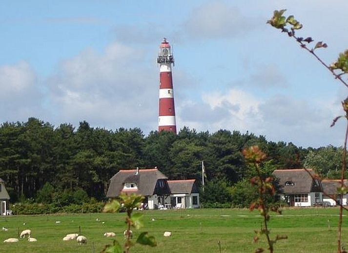 Verblijf 0403232 - Vakantiewoning Ameland - huisje WELTEVREE