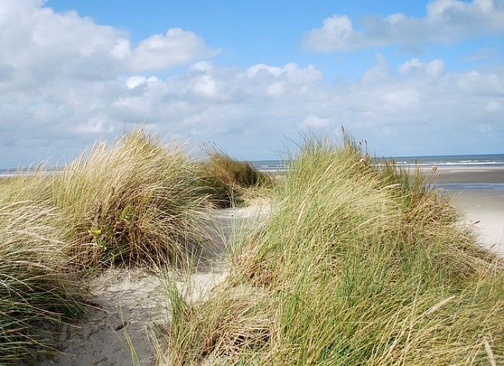 Verblijf 0403232 - Vakantiewoning Ameland - huisje WELTEVREE