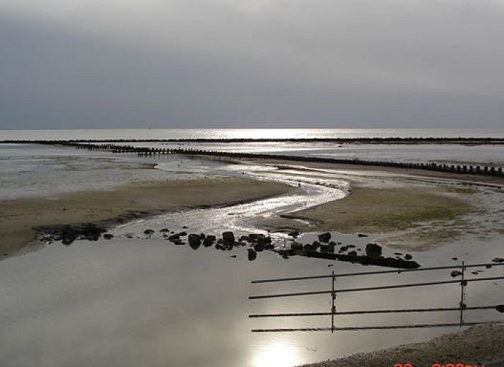 Verblijf 0403232 - Vakantiewoning Ameland - huisje WELTEVREE