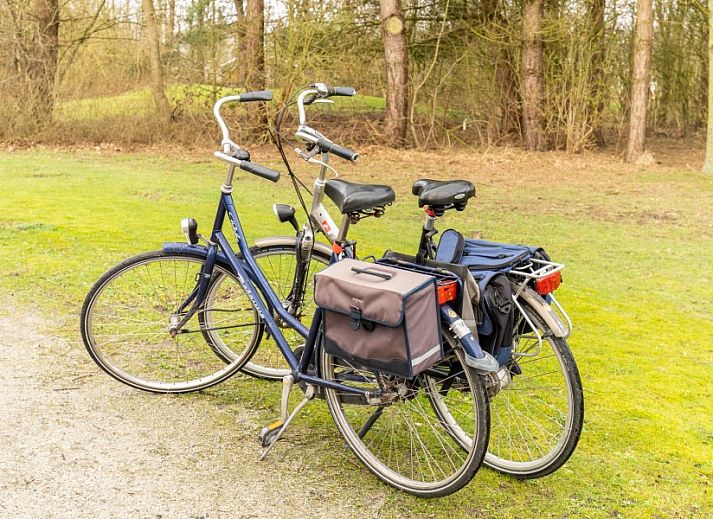 Stylish sitting area in Bornrif, Hollum, Ameland with comfortable sofa and colorful rug.