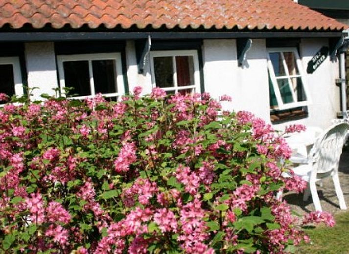 Verblijf 040397 • Appartement Ameland • Suudooster
