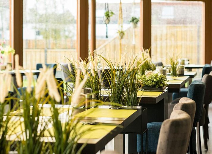 Verblijf 040405 - Vakantie appartement Ameland - Hotel Nes