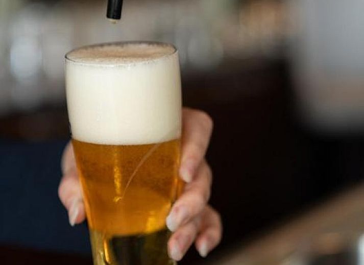 Unterkunft 040408 - Appartement Ameland - Hotel Ameland