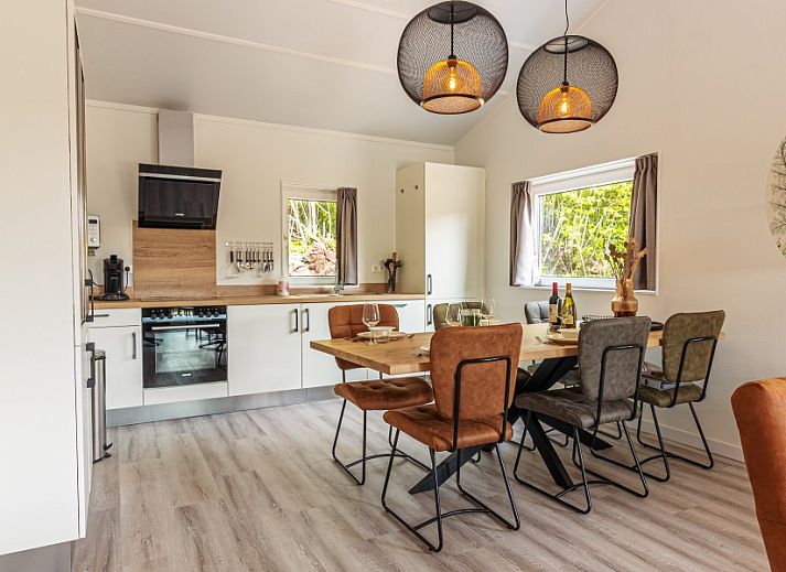 Unterkunft 0404118 - Ferienhaus Ameland - Nesserduinen 42A