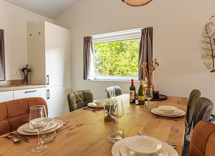 Unterkunft 0404118 - Ferienhaus Ameland - Nesserduinen 42A