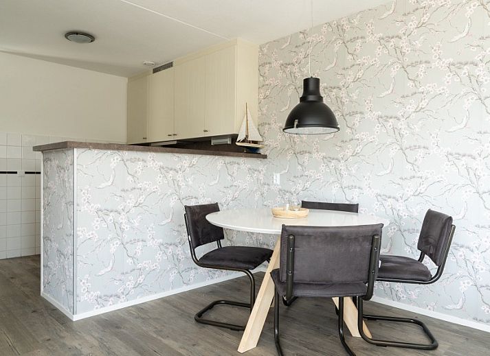 Guest house 0404123 - Apartment Ameland - Zand