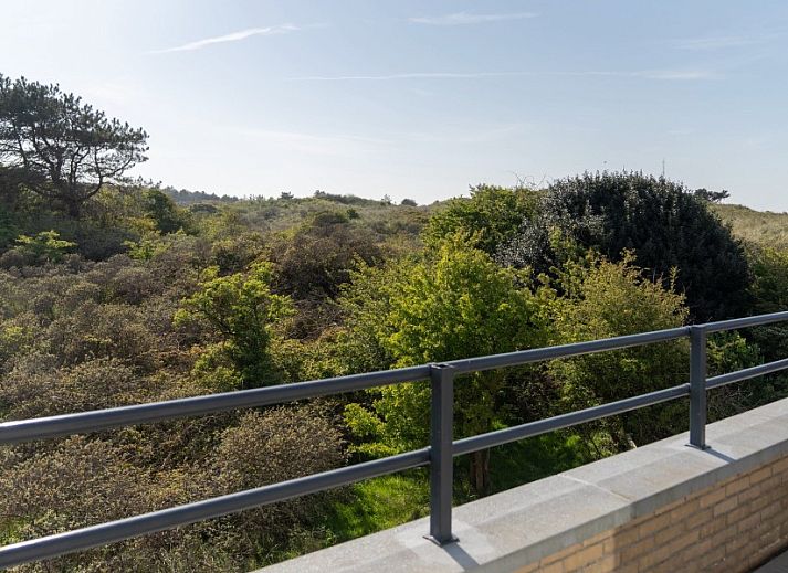 Guest house 0404123 - Apartment Ameland - Zand