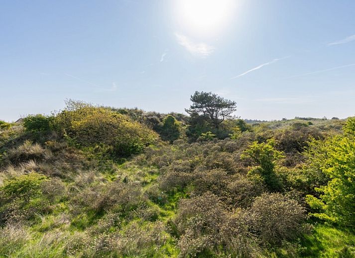 Guest house 0404123 - Apartment Ameland - Zand