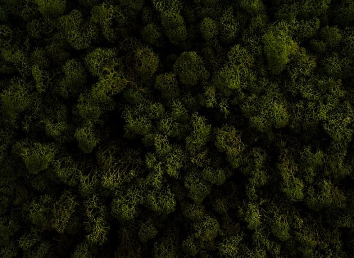 Verblijf 040413 - Vakantie appartement Ameland - Logement Zee van Tijd