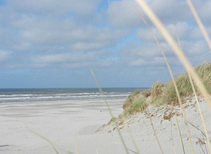 Guest house 040454 - Bungalow Ameland - Skries