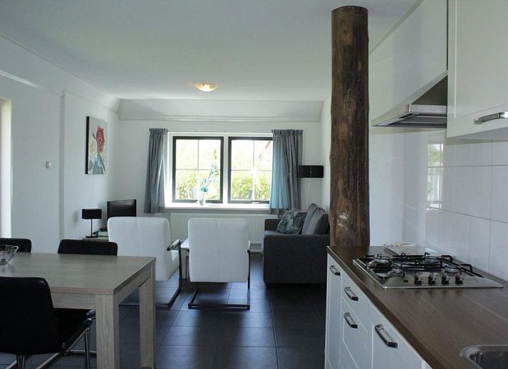 Guest house 040477 - Apartment Ameland - appartementenboerderij de Jong