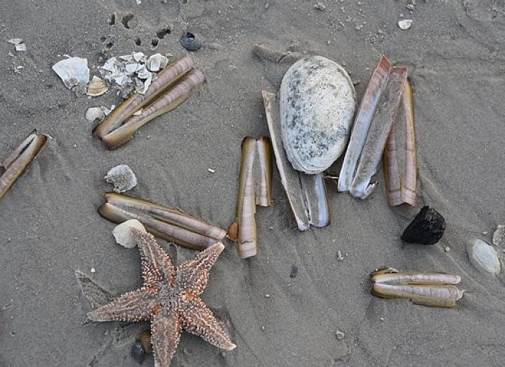 Moderne badkamer Chalet Zeester, stacaravan Buren Ameland met douche en wastafel.
