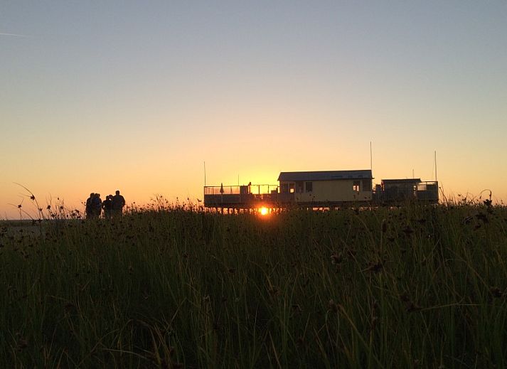 Noenie vakantiehuis op Schiermonnikoog met klassieke architectuur en fietsen in de tuin.