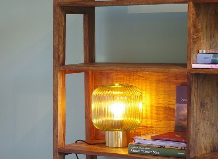 Louwtjesduin Oost vacation home in Schiermonnikoog with spacious garden and swing, ideal for families on the Wadden Islands.