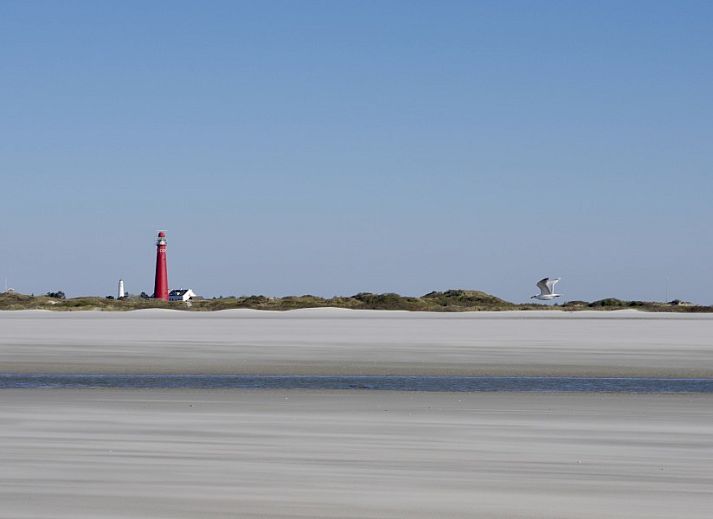 Stylish living room of Louwtjesduin Oost vacation home in Schiermonnikoog overlooking the green garden, Wadden Islands.