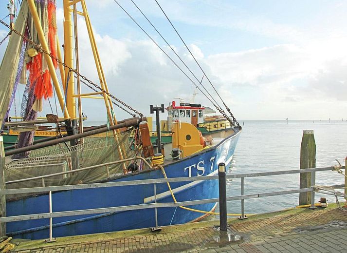 Unterkunft 140316 - Ferienhaus Terschelling - Cozy Villa in Midsland near Sea