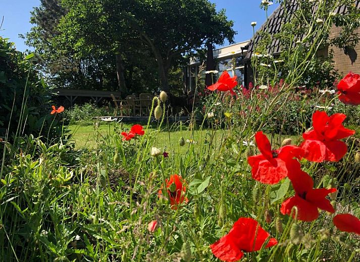 Verblijf 160307 - Vakantie appartement Terschelling - Hotel De Horper Wielen