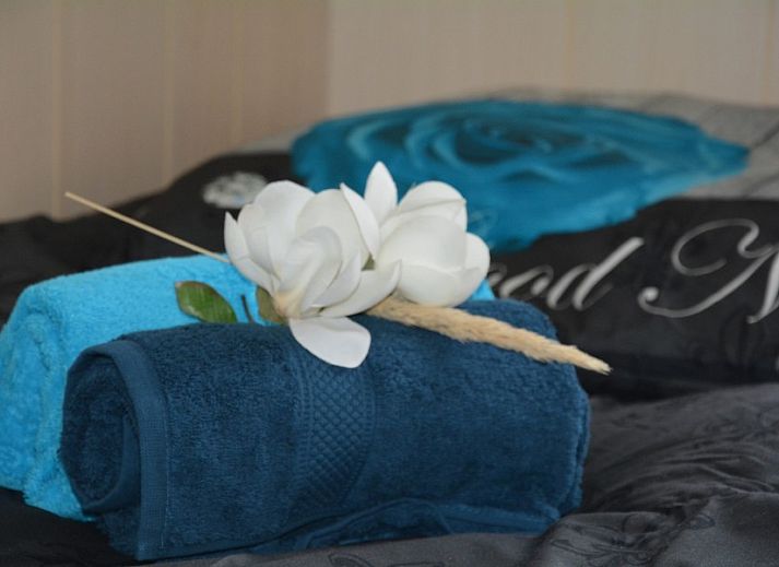 Gemtliches Esszimmer im CORIMAR Chalet, Ballum, Ameland mit Holzinterieur.