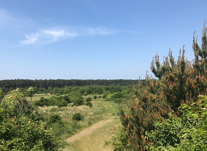 Stilvolle Essecke im Ferienhaus CORIMAR, Ballum, Ameland, mit Tisch fr vier Personen.