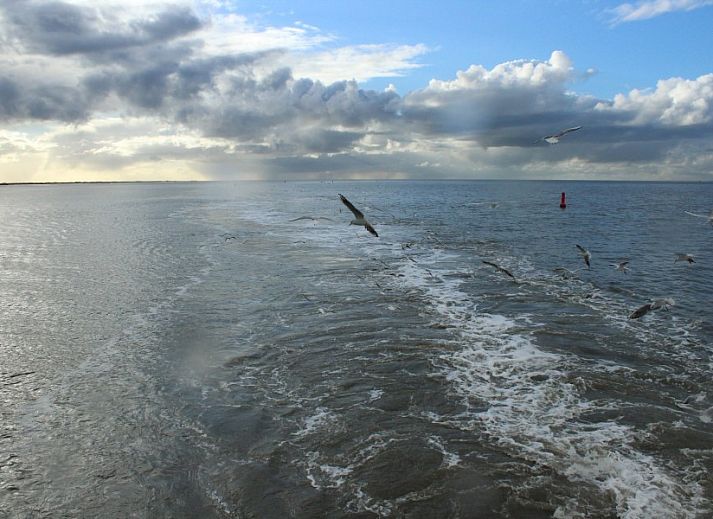Stilvolle Essecke im Ferienhaus CORIMAR, Ballum, Ameland, mit Tisch fr vier Personen.