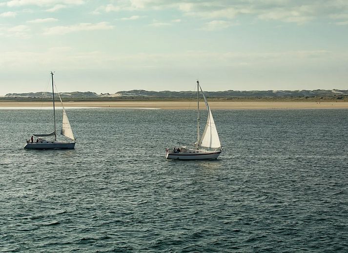 Schuttersbos