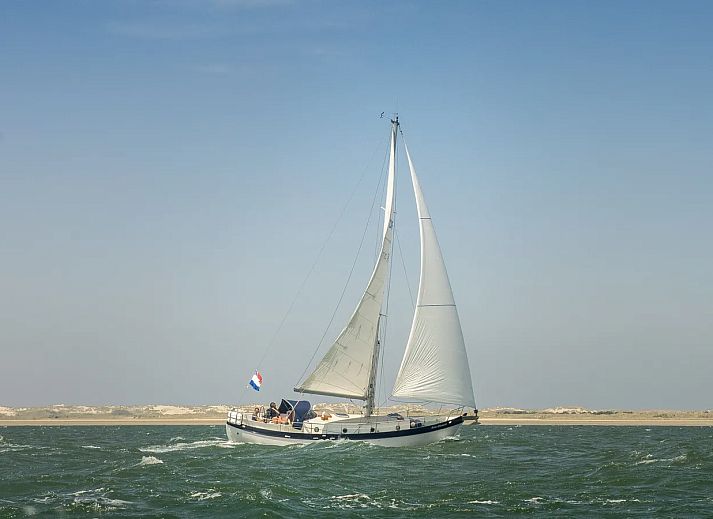 Schuttersbos