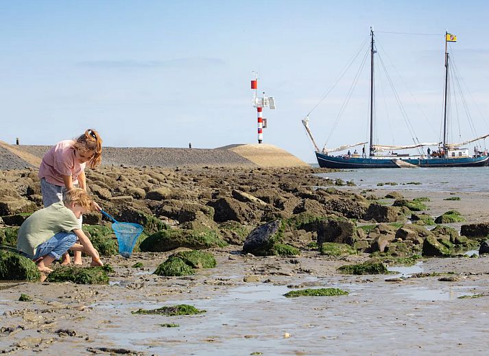 Landal West Terschelling