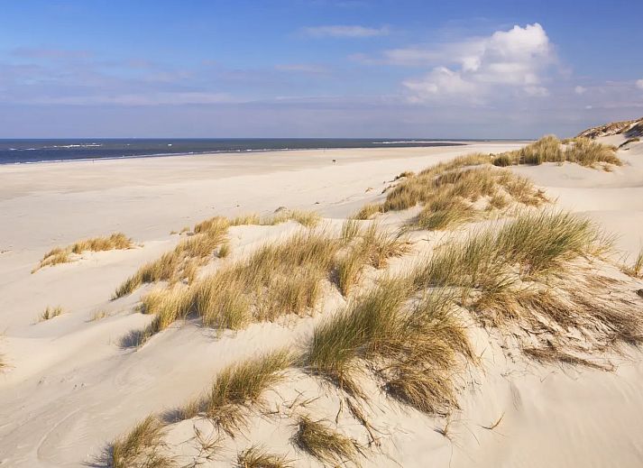 Landal West Terschelling