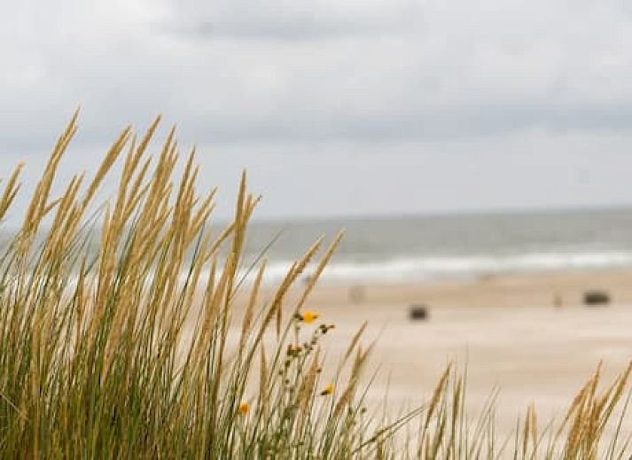 Appartementen Skylgerduin