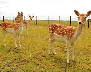 Guest house 010101 - Holiday property Texel - Komt goed