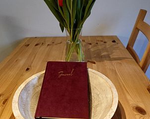 Guest house 010108 - Holiday property Texel - Kikkerpoel