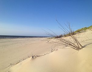 Unterkunft 01011010 - Bungalow Texel - Ons Eilandgevoel