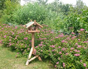 Unterkunft 01011021 - Bungalow Texel - 619