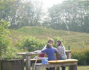 Unterkunft 01011021 - Bungalow Texel - 619