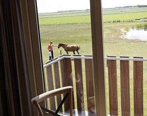 Guest house 01011028 - Holiday property Texel - 6 pers. luxe rolstoelvriendelijk villa 