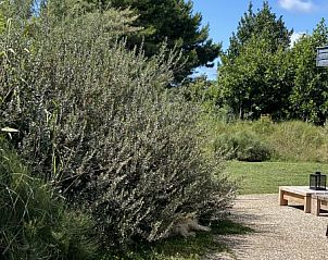 Unterkunft 01011034 - Ferienhaus Texel - Luxe 8 persoons &#8216;Golf Villa Texel&#8217; vlakbij zee