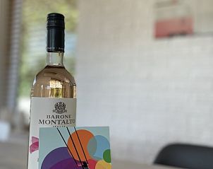 Unterkunft 01011050 - Ferienhaus Texel - Kaap Zilt Texel