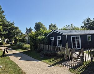 Unterkunft 01011055 - Chalet Texel - Chalet 114 