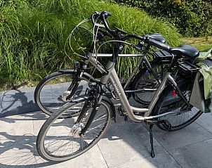 Unterkunft 01011055 - Chalet Texel - Chalet 114 