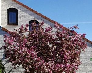 Unterkunft 01011056 - Ferienhaus Texel - Ferienperle