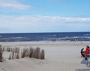 Unterkunft 01011056 - Ferienhaus Texel - Ferienperle