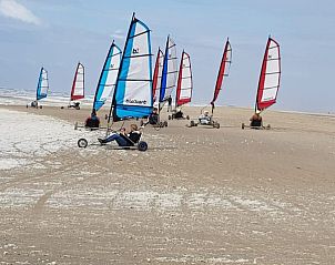 Unterkunft 01011056 - Ferienhaus Texel - Ferienperle