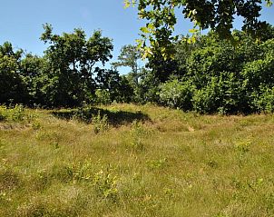 Unterkunft 0101121 - Ferienhaus Texel - Bosuil