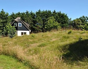 Unterkunft 0101121 - Ferienhaus Texel - Bosuil