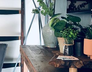 Unterkunft 0101164 - Ferienhaus Texel - Vakantiehuis De Muy