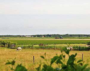 Blick auf die Felder von Texel vom Ferienhaus Het Wulpenlied in De Cocksdorp.